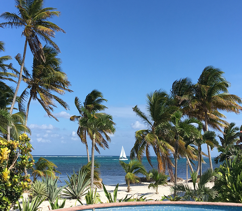 Belizean Ocean View
