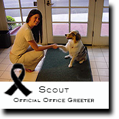 Scout, V.I.P. Office Greeter